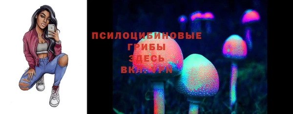 винт Вяземский