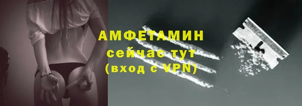 эйфоретик Тавда