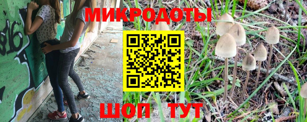 Галлюциногенные грибы Psilocybe  Мариинск  Галлюциногенные грибы мицелий 