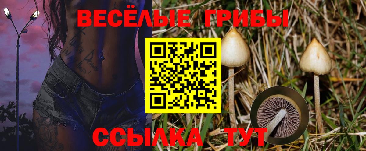Мариинск  Галлюциногенные грибы GOLDEN TEACHER  где купить наркоту  Вход с VPN  Галлюциногенные грибы Psilocybine cubensis 